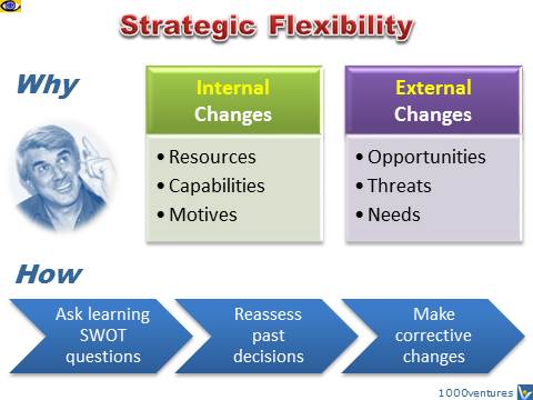 Strategic Flexibility