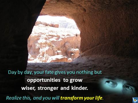 Vadim Kotelnikov quotes Life - Day by day, your fate gives you nothing but opportunities to grow wiser, stronger and kinder. Realize this, and you will transform your life.