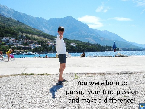 Innovator You were born to pursue your passion and make a difference Dennis Kotelnikov